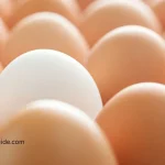 a picture of 1 egg different colour as exception handling