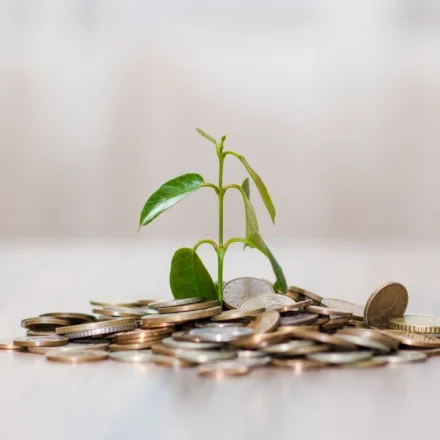 finance and investing
